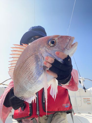 タイの釣果