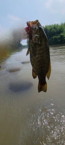 高滝湖