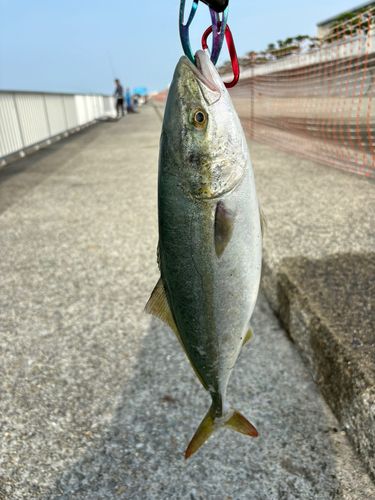 中崎のベランダ護岸