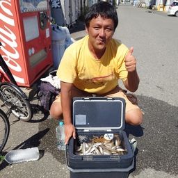 シロギス