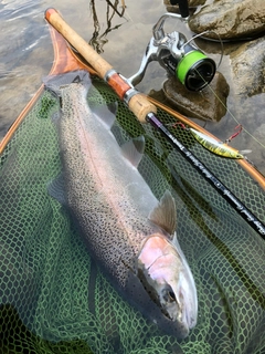 ニジマスの釣果