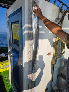 タチウオの釣果