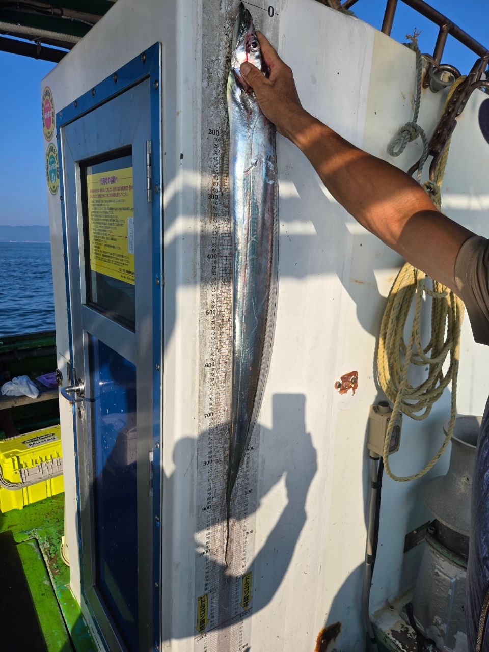 うぇるさんの釣果 1枚目の画像