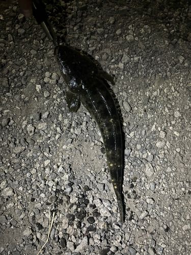 平潟湾