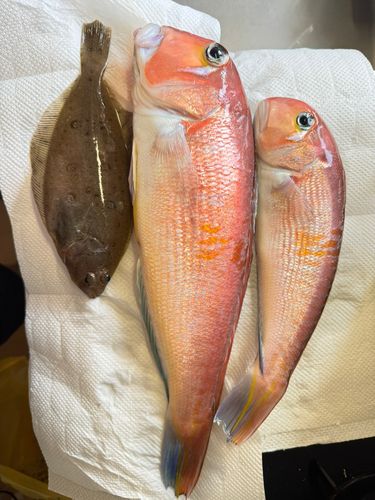 日立沖