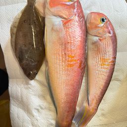 アマダイ