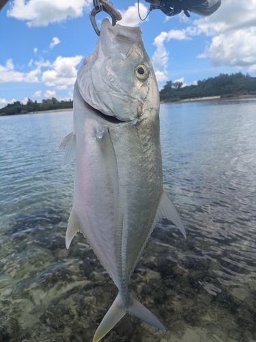沖縄本島北部