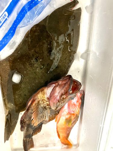 竜ヶ崎堤防