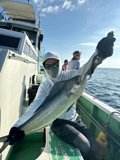 シイラの釣果
