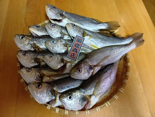 若洲海浜公園海釣り施設