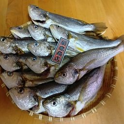 イシモチ