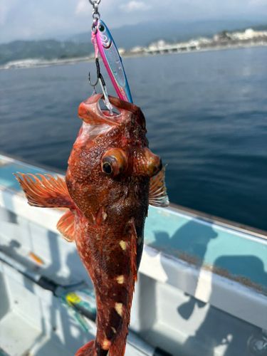 相模湾