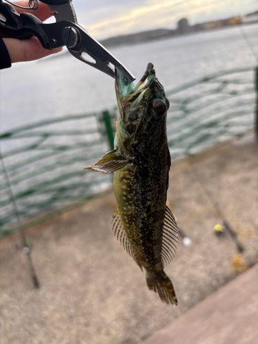 海辺つり公園