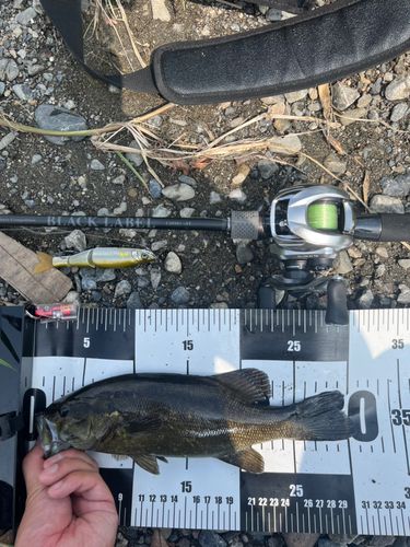 スモールマウスバスの釣果
