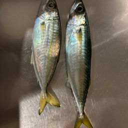 アジ