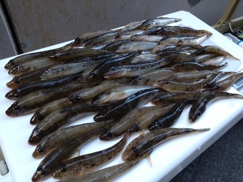 細江湖