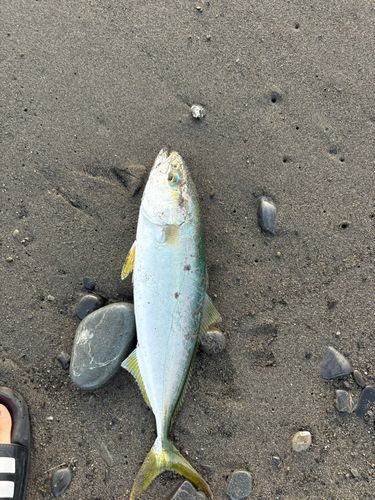 石津浜