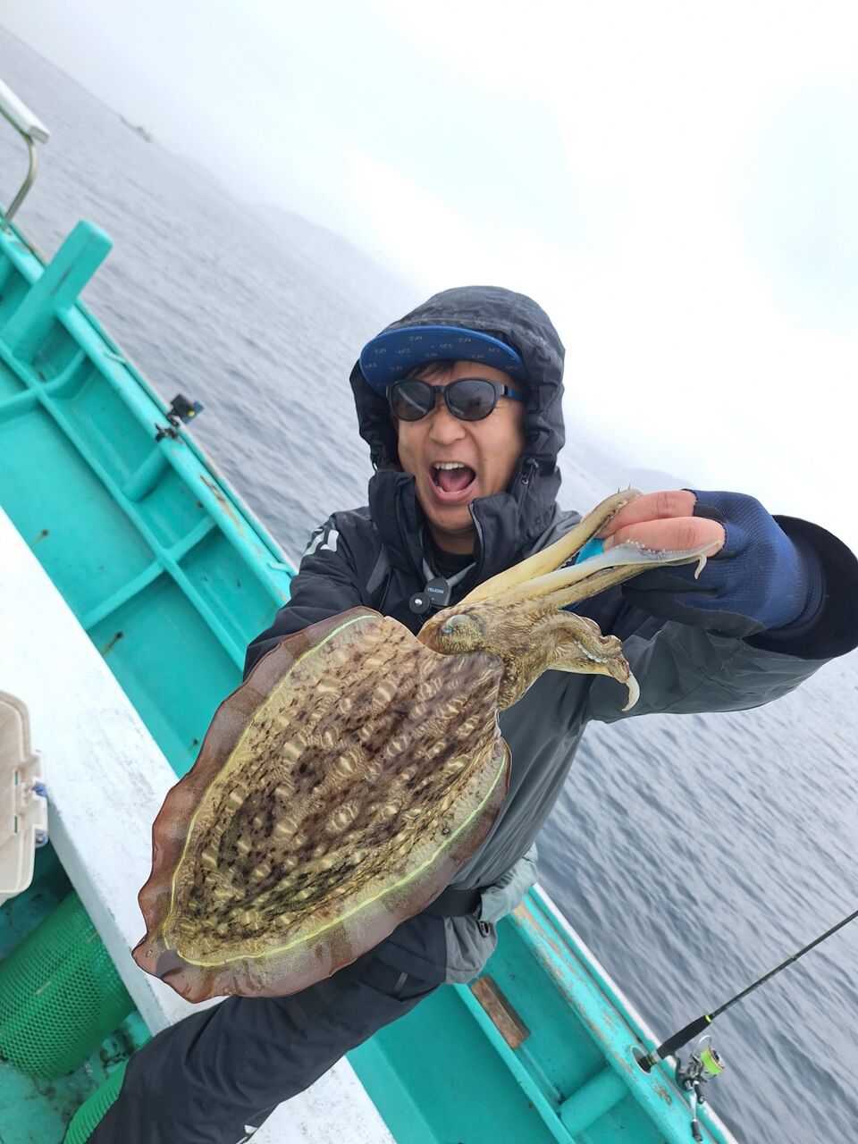 コウイカ