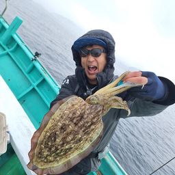 コウイカ