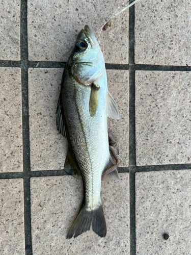 潮見運動公園