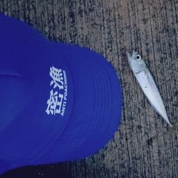 サバ