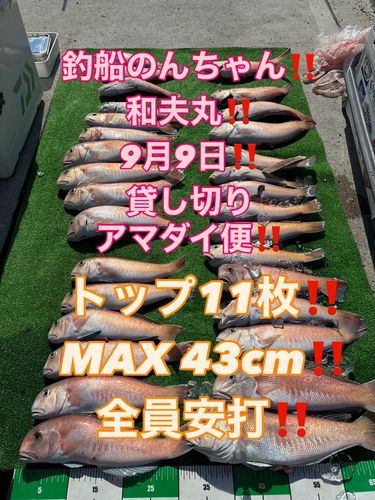 シロアマダイの釣果