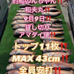 シロアマダイ
