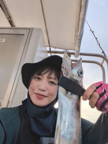 博多湾