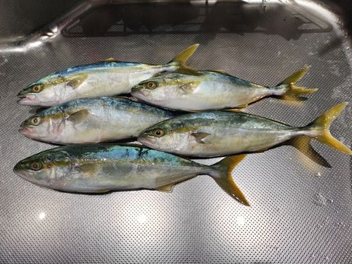 鼠ヶ関港
