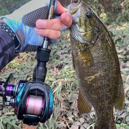 スモールマウスバス