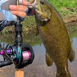 スモールマウスバス