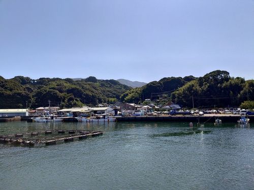 海上つり堀まるや