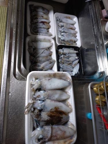 神子漁港