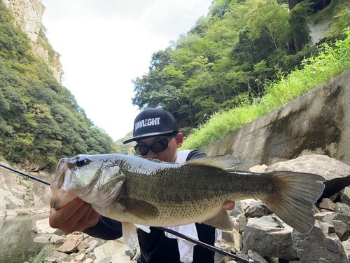 阿武川ダム