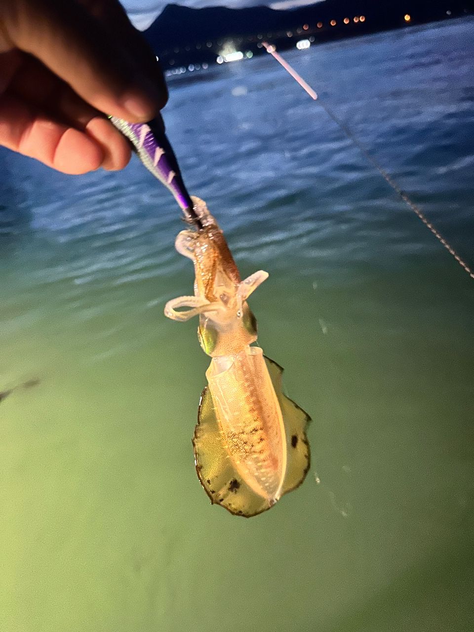 わか船長さんの釣果 2枚目の画像