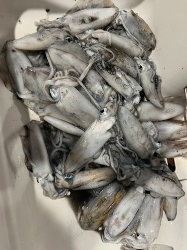男鹿半島