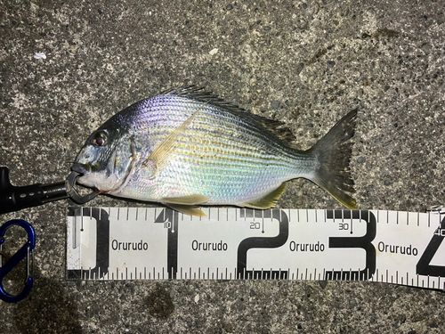 表浜名湖