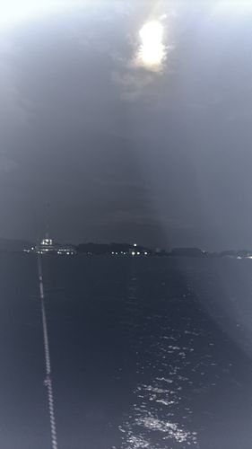 ヒイカの釣果