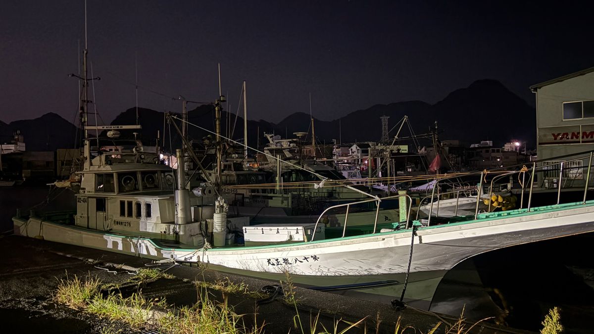 P.kobaさんの釣果 2枚目の画像