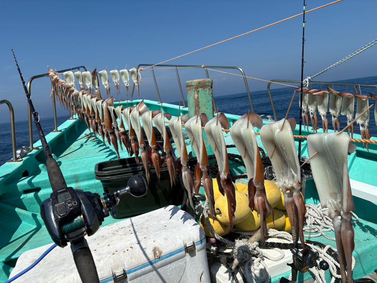 P.kobaさんの釣果 3枚目の画像