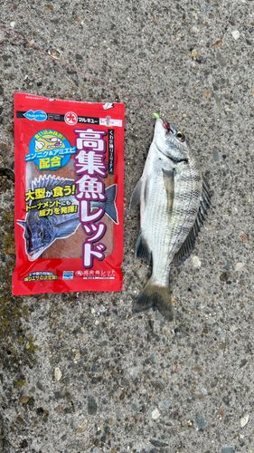 酒田本港