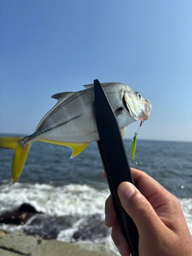 柳島海岸