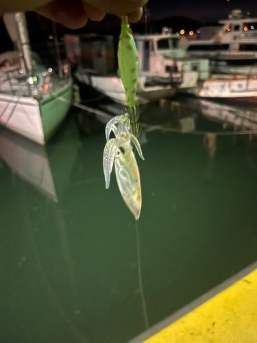 牛窓港