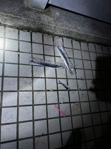 羽地内海