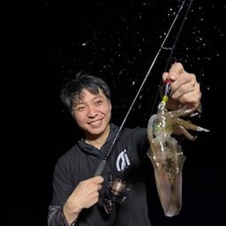 アオリイカ