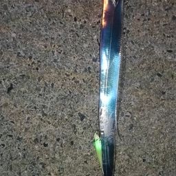 タチウオ