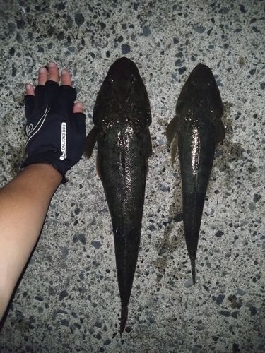 津軽半島