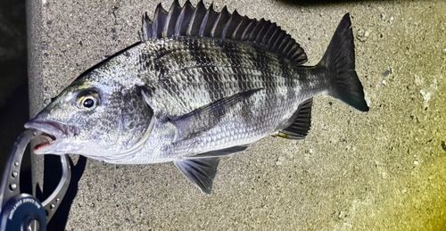 新舞子海岸（いわき）