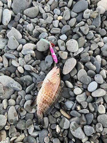 石津浜
