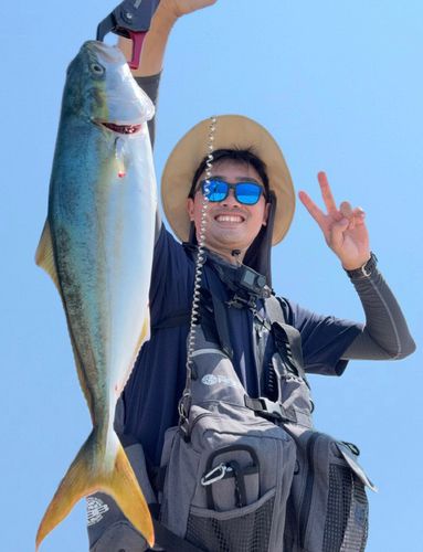 イナダの釣果